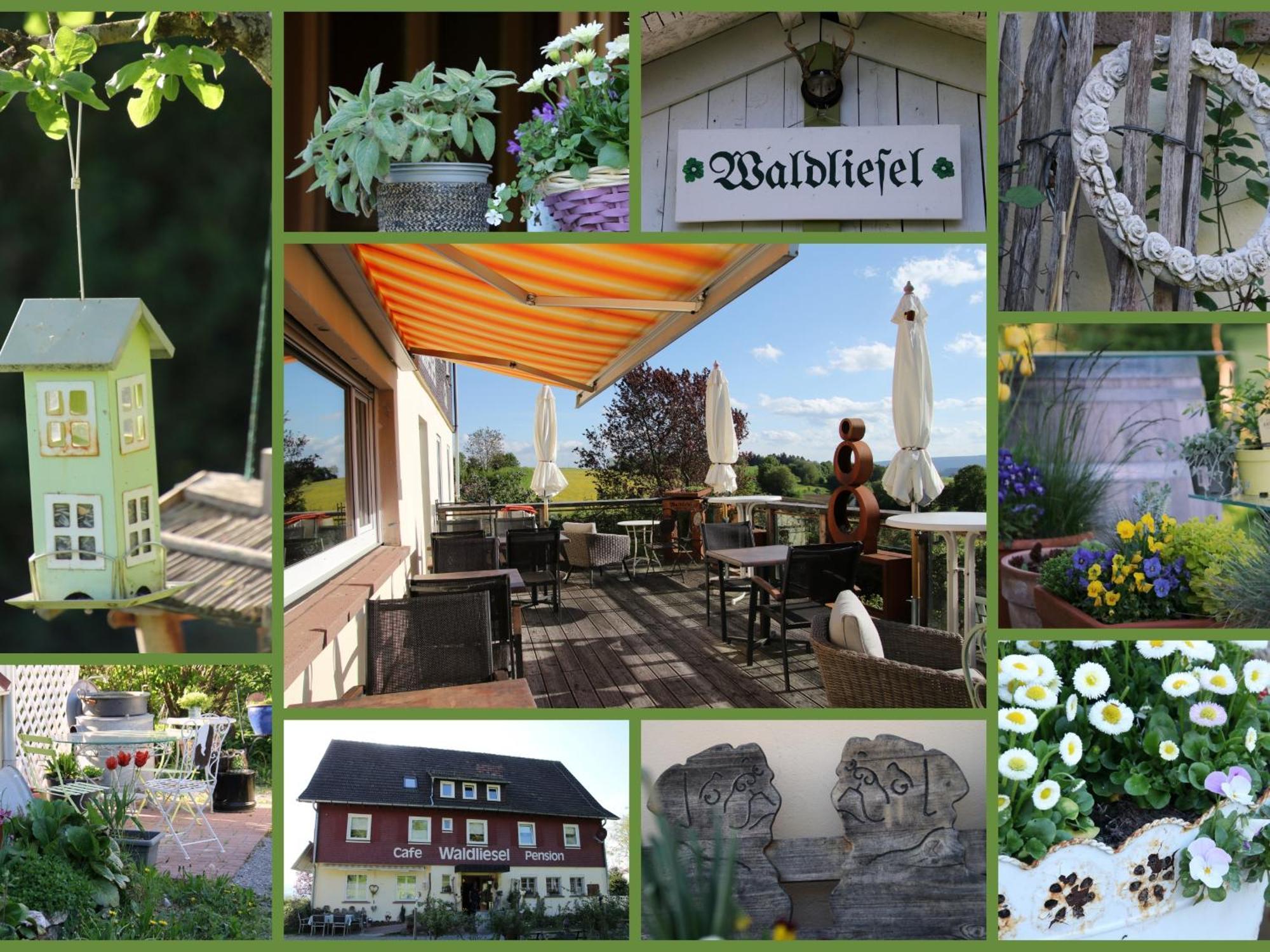 Pension Waldliesel Dornstetten Bagian luar foto